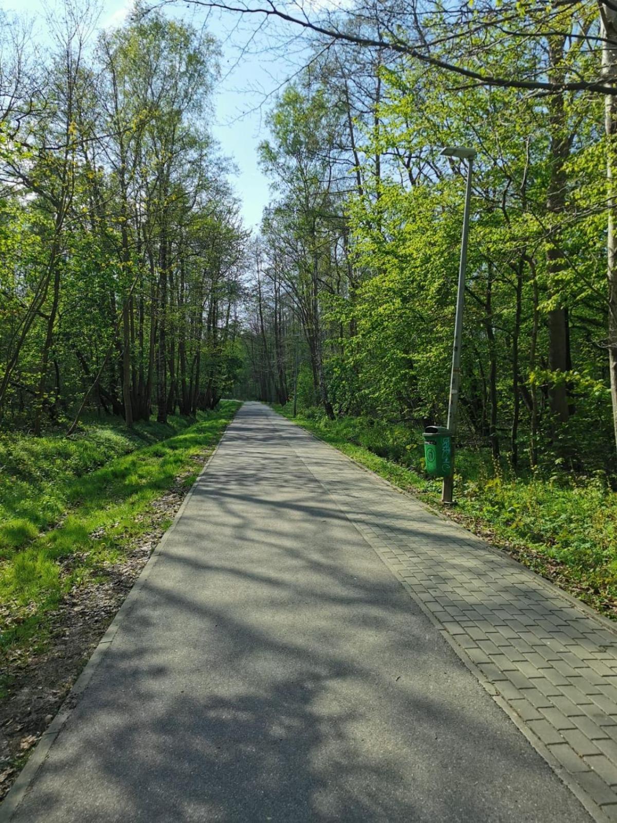 Апартаменти Seaside Forest - Polanki Колобжег